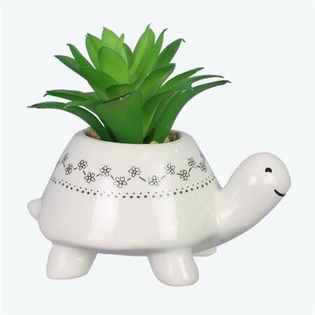 YOUNGS Ceramic Turtle Planter with Succulent 72610